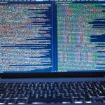 Lessons from My First Web Development Job